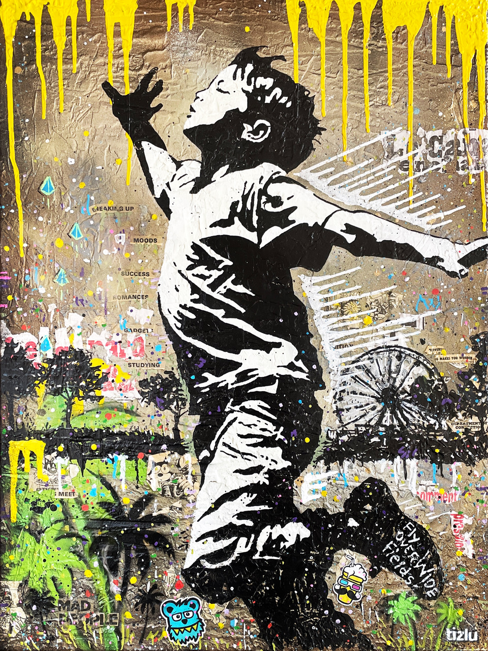 Fly Over Wide Fields